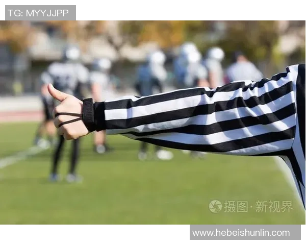 足球男裁判的职业挑战与成长之路探讨